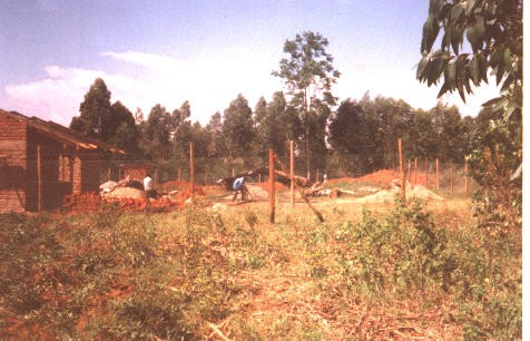 View of the Entire Plot
